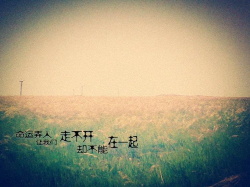 关于大的说说句子