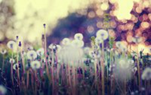 教师节同事之间感恩节祝福语