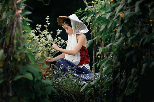 教师节英语教师节英语祝福语