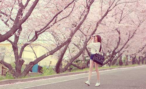 供应英文情话给女朋友