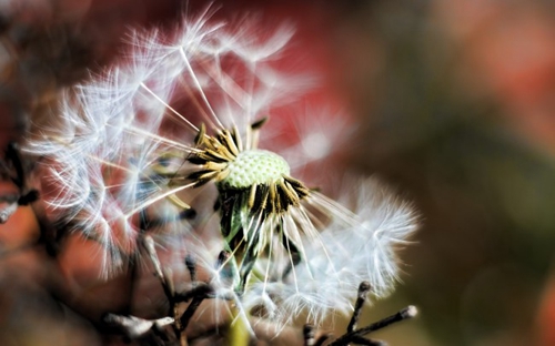 教师节给书法老师贺卡祝福语