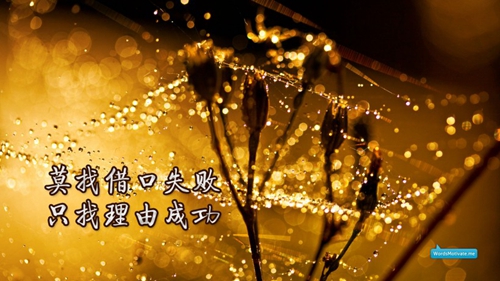 挺住一切DJ串烧视频