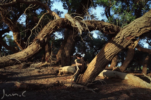 难过想哭说说心情短语