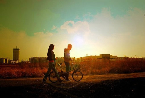 海麻线能冷冻保存吗（海麻线是什么）