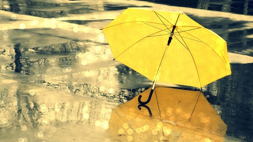 一往情深深几许深山夕照深秋雨是什么意思(纳兰性德蝶恋花出塞简介) 一往情深深几许深山夕照深秋雨是什么意思(纳兰性德蝶恋花出塞简介)