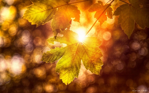 闺蜜之间表白搞笑的句子