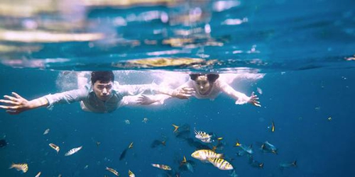 浪漫早安情话想你