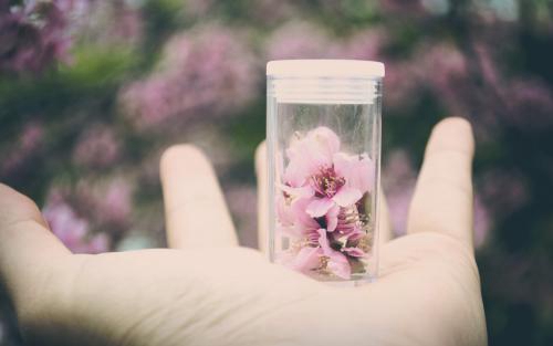 鲜花简短土味情话