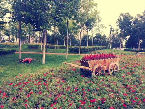 关于白骨的说说句子