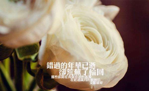 正主是什么意思