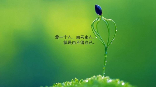 2021精选个性情侣网名（推荐20组）