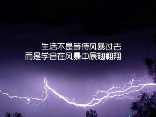 哲理语句摘抄大全组织部「描写河水的句子短句」