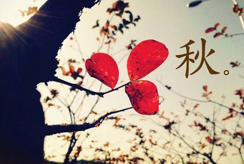 给老师的祝福短语