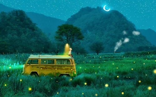 个性的网名分类