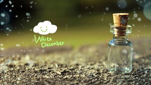 元旦祝福语毕业（紫藤花下的紫~ | 薰衣草上的紫~提供）