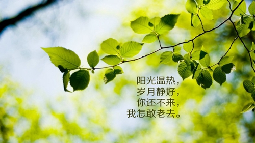 女生个性说说冷淡霸气第一次
