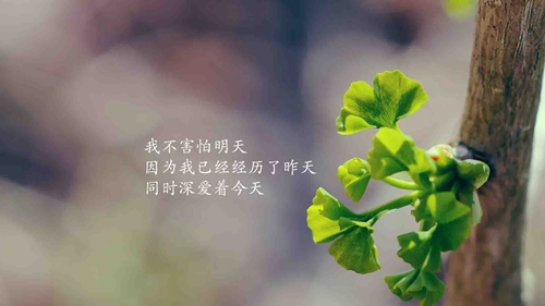 写给自己的话伤感