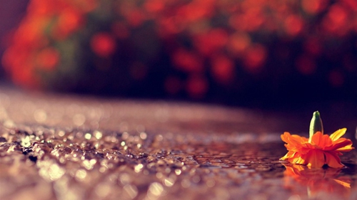 格言大全励志美句 格言大全励志美句