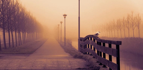 The Sorrowful Moments on Weibo: A Collection of Short and Sweet English Expressions