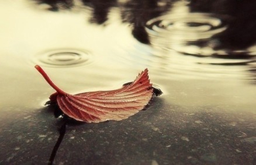 描写倾盆大雨的句子