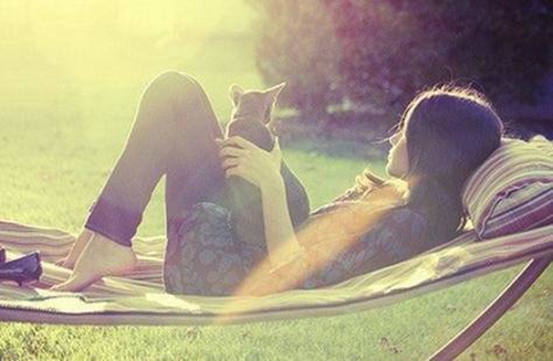猫咪送人伤感句子说说