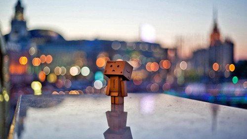 暖心冷女冷心暖男