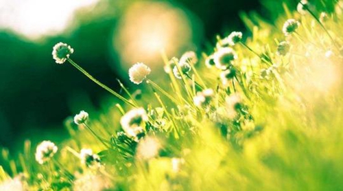 致敬师恩节日快乐，微信短信共庆