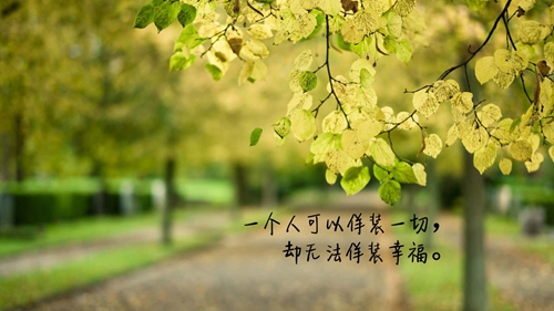 描写大树的优美句子和段落-祝福的话