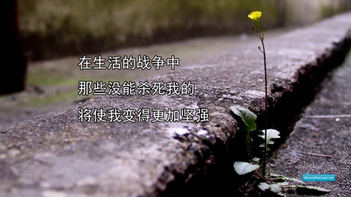 孩子生病不想吃饭的心情说说（精选20条）