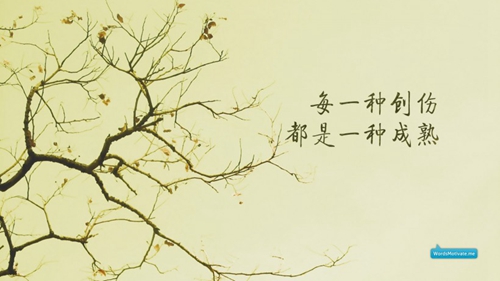 关于电脑的朋友圈（电脑的说说2025）