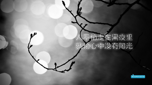 徽信英文网名好听「好听的闺蜜网名带苏」