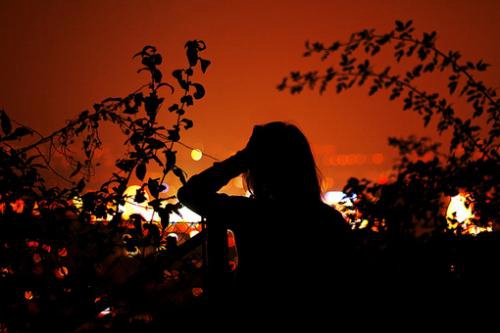 The Power of Grief: Exploring the Emotional Landscape with Action：Packed Sentiments