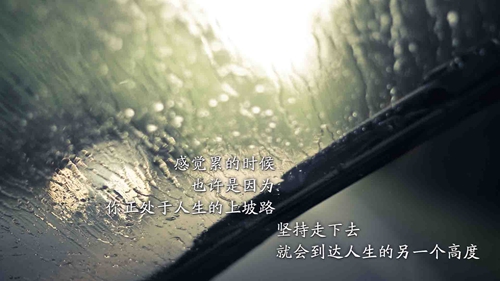 深夜的决定往往清晨苏醒怎么回答