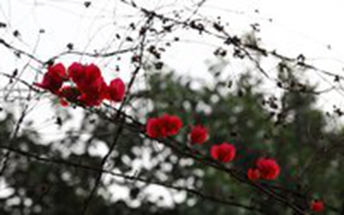 月光会落在你身上是什么歌