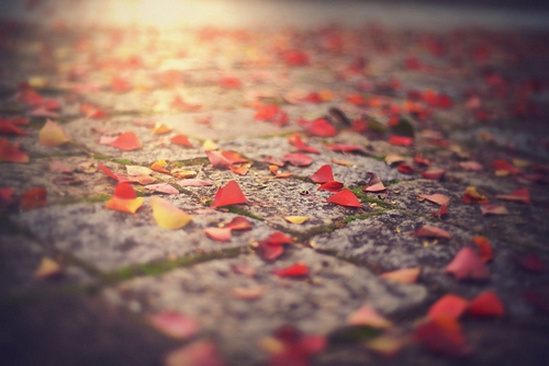 Title: The Rhetoric of Romance in Presenting the Love Poem 2026 Title: The Rhetoric of Romance in Presenting the Love Poem 2026