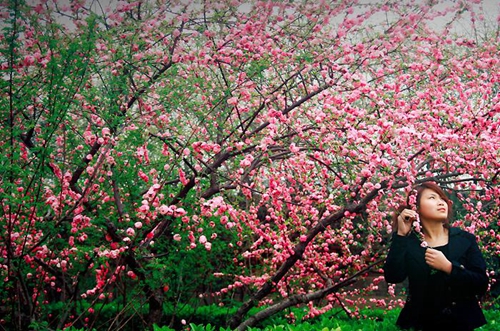 小鱼儿dj热舞（dj小鱼儿extended），DJ小鱼儿