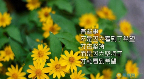 小度播放什么歌