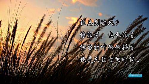 他说愿你人间烟火伴什么歌